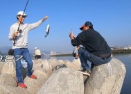 防波堤钓鱼线组技巧有哪些？如何提高钓鱼成功率？