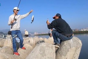 防波堤钓鱼线组技巧有哪些？如何提高钓鱼成功率？