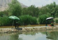 方形鱼塘钓鱼技巧和方法？如何提高钓鱼成功率？