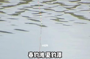 意大利自然流域钓鱼技巧
