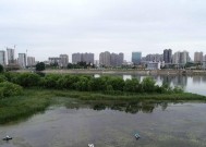 方塘钓鱼阴天选位技巧是什么？如何提高钓鱼成功率？