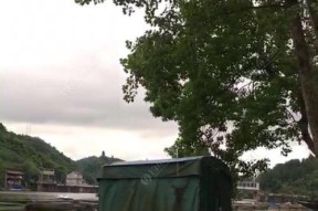 河溪钓鱼技巧有哪些？如何提高河溪钓鱼的成功率？