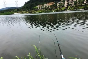 池塘钓鱼技巧（掌握技巧，成功捕获丰富的渔获）