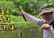 飞铅钓鱼方法技巧讲解？如何提高飞铅钓鱼的成功率？