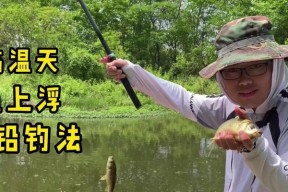 飞铅钓鱼方法技巧讲解？如何提高飞铅钓鱼的成功率？
