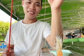 钓鱼钓虾子技巧（探秘海洋秘境，分享专业钓鱼钓虾技巧）