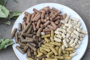掌握方块饲料钓鱼的技巧（提高钓鱼成功率的方法和策略）