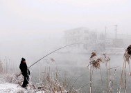 初冬河流钓鱼技巧有哪些？如何提高钓鱼成功率？