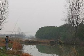 春天阴天河里钓鱼技巧是什么？如何提高钓鱼成功率？