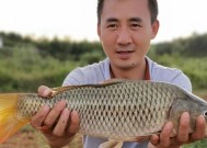中国传统钓法钓鱼技巧剖析（发掘传统智慧）