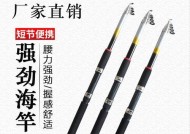 2米鱼竿钓鱼技巧（掌握技巧）