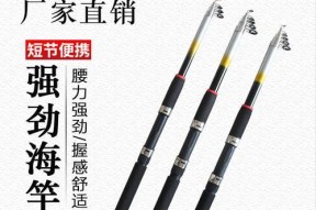 2米鱼竿钓鱼技巧（掌握技巧）