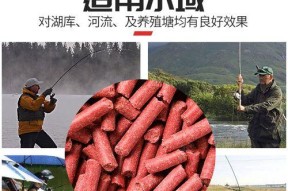 如何正确使用钓鱼用沾粉和拉丝粉？使用过程中常见问题有哪些？