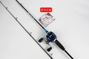 如何正确使用海竿进行抛竿？掌握钓鱼技巧提升渔获量？