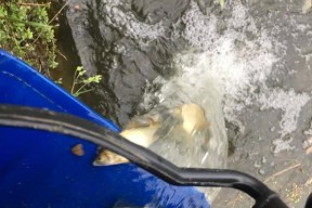 钓浮飞铅的正确方法是什么？有哪些技巧可以提高钓鱼效率？
