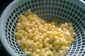 老玉米钓鱼技巧有哪些？如何正确使用老玉米作为鱼饵？
