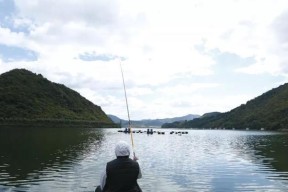 钓鱼选钓位技巧有哪些？如何根据季节变化选择最佳钓位？