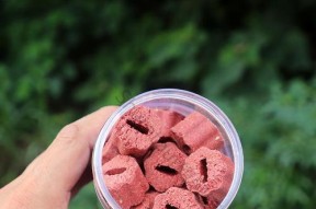 方块鱼饵浮钓技巧有哪些？如何提高浮钓成功率？