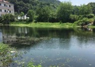 湍急水流下的钓鱼技巧（应对湍急水流）