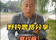 河流桥下钓鱼技巧有哪些？如何提高钓获率？