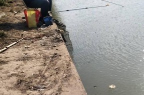 气温高的钓鱼技巧有哪些？如何在炎热天气中提高钓鱼成功率？