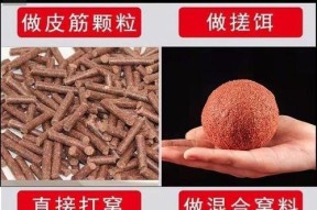 钓鱼窝料和做窝技巧有哪些常见问题？如何解决？