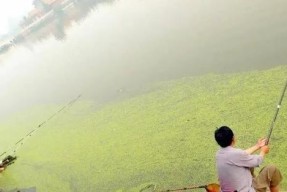 雨后钓鱼的技巧与心得（提升钓鱼技巧的三个小窍门）