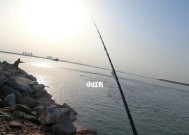 普通小河钓鱼浮技巧（掌握技巧）