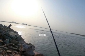 普通小河钓鱼浮技巧（掌握技巧）