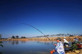 钓鱼技巧七大口诀（掌握这七个关键技巧，成为钓鱼高手！）
