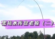 黑坑大棚垂钓技巧和方法是什么？如何提高垂钓成功率？