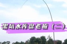 黑坑大棚垂钓技巧和方法是什么？如何提高垂钓成功率？