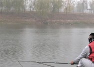 初冬湖库钓鱼技巧是什么？如何提高钓鱼成功率？