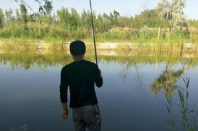 探秘伊犁河钓鱼技巧（享受钓鱼乐趣）