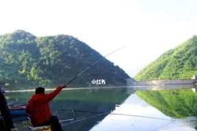 春季钓鱼三技巧是什么？如何提高钓鱼成功率？