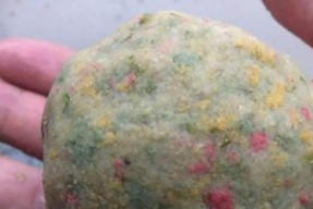 以用大米饭钓鱼技巧（探秘钓鱼利器大米饭的妙用）