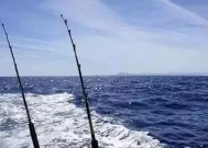 河水浑浊时如何钓鱼？掌握这些技巧提高渔获！
