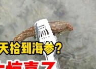 赶海钓鱼技巧教学有哪些常见问题？如何解决？