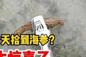 赶海钓鱼技巧教学有哪些常见问题？如何解决？