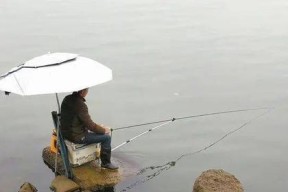钓鱼生活小技巧与方法（掌握这些技巧，成为高手！）