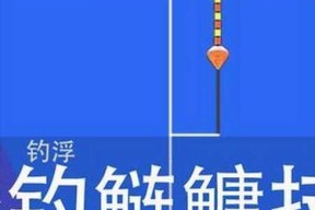 如何掌握钓鱼调漂的最佳方法和技巧？