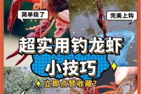 钓鱼小技巧指南？如何快速掌握钓鱼技巧？