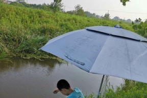 春天在河边钓鱼技巧有哪些？如何提高钓鱼成功率？