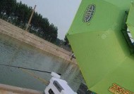 黑坑大塘垂钓技巧有哪些？如何提高钓获率？