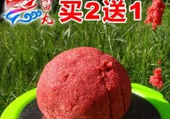 浙江野钓开饵技巧与方法（掌握钓鱼技巧）