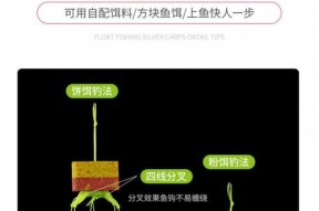 如何掌握河流海杆板钩钓鱼技巧？常见问题有哪些？