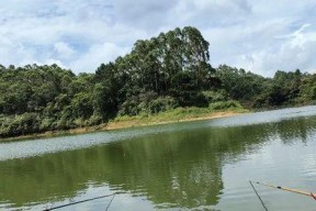 如何在自然水域中垂钓？有哪些技巧可以提高成功率？