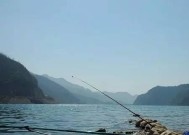 富水水库钓鱼技巧有哪些？如何提高钓鱼成功率？