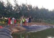 肥水放鱼塘钓鱼技巧有哪些？如何提高钓鱼成功率？