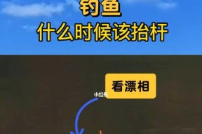钓鱼新手如何提高技巧？掌握哪些基本技巧能快速入门？